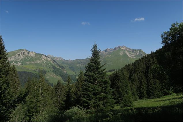 Le Mont Chéry par le Mont Caly_La Côte-d'Arbroz - Victor Demilly / Vallée d'Aulps Tourisme