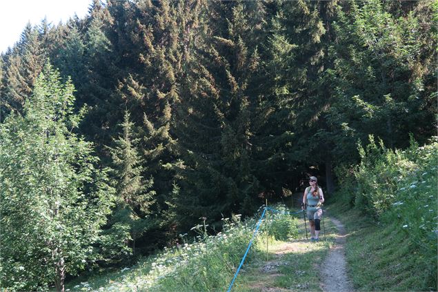 Le Mont Chéry par le Mont Caly_La Côte-d'Arbroz - Victor Demilly / Vallée d'Aulps Tourisme