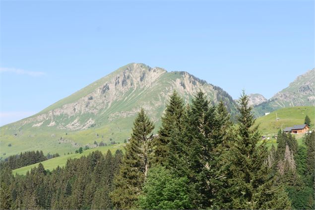 Le Mont Caly depuis le Col de l'Encrenaz_La Côte-d'Arbroz - Victor Demilly / Vallée d'Aulps Tourisme