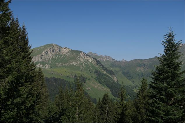 Le Mont Caly depuis le Col de l'Encrenaz_La Côte-d'Arbroz - Victor Demilly / Vallée d'Aulps Tourisme