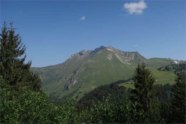 Le Mont Caly depuis le Col de l'Encrenaz_La Côte-d'Arbroz - Victor Demilly / Vallée d'Aulps Tourisme