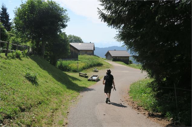 Le Mont Caly depuis le Col de l'Encrenaz_La Côte-d'Arbroz - Victor Demilly / Vallée d'Aulps Tourisme