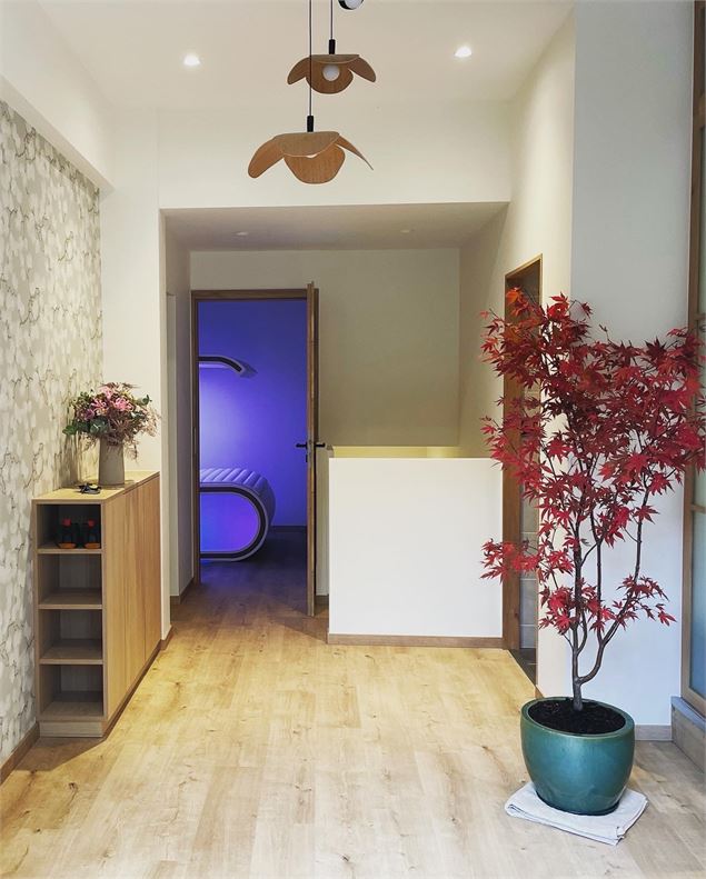Ryokan Center -