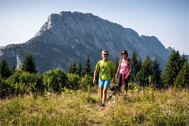 Roc des Boeuf depuis alpage de Bornette - C. Haas - Grand Chambéry Alpes Tourisme
