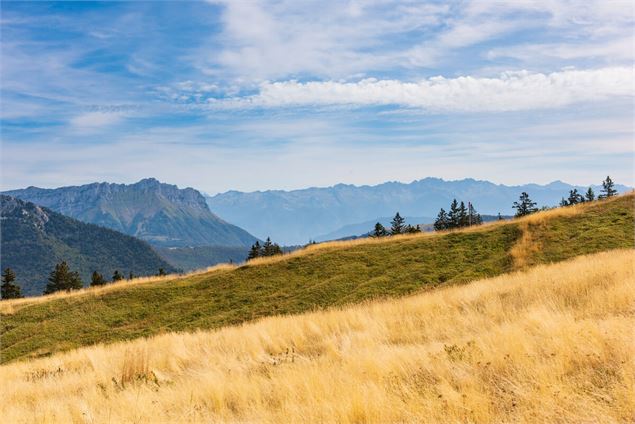 Alpage du Margériaz - C. Haas - Grand Chambéry Alpes Tourisme