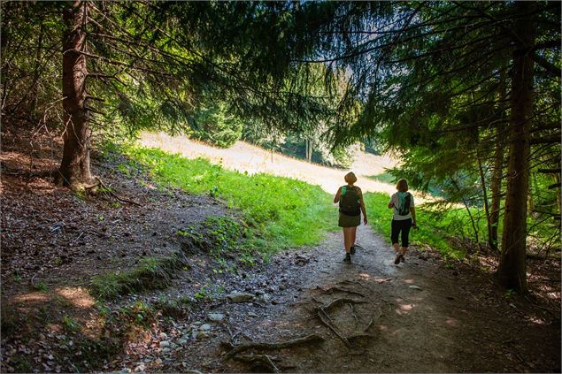 Forêt de Praz Gelaz - C. Haas - Grand Chambéry Alpes Tourisme