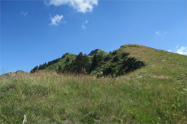 Montée vers la Pointe de Nantaux - Victor Demilly / Vallée d'Aulps Tourisme