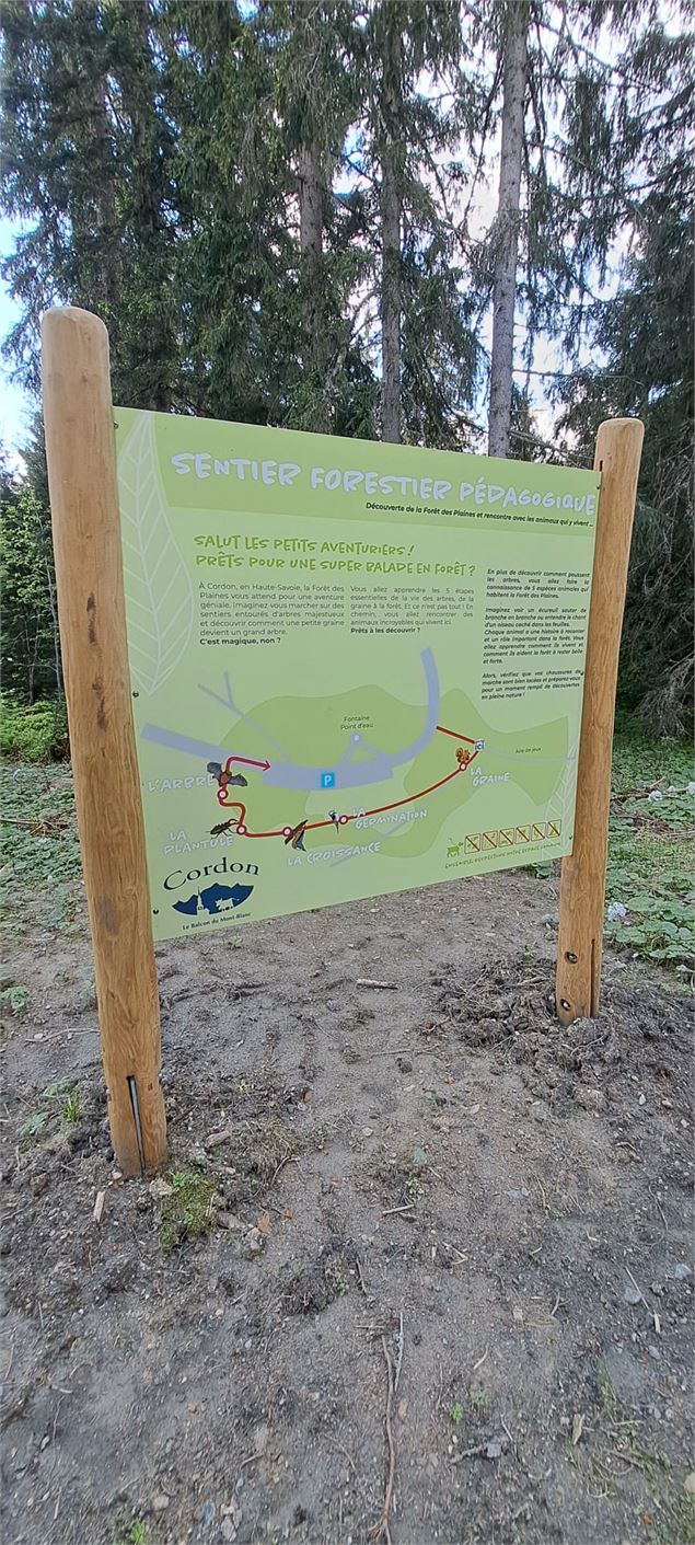 Parcours du sentier de la forêt