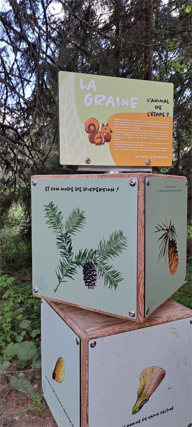 Parcours du sentier de la forêt