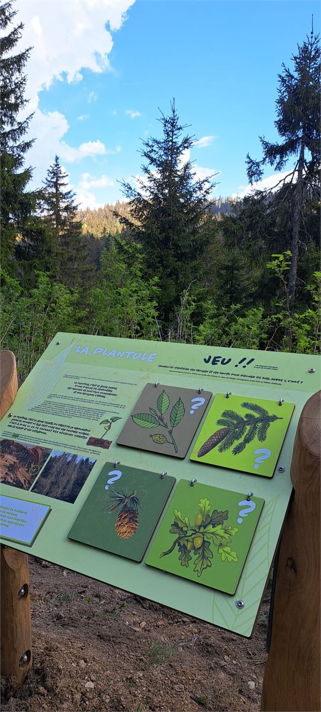 Parcours du sentier de la forêt