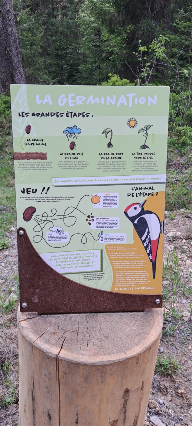 Parcours du sentier de la forêt