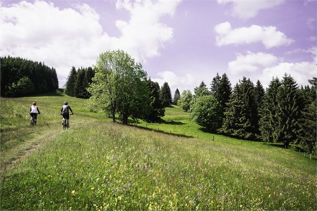 Circuit n°15 Le Mont Bénand - VTT FFC pays d'Evian balcon du Léman - LBM Luc Buffard