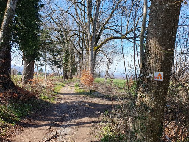 Circuit n°18 Bernex - Cité de l'Eau - VTT FFC pays d'Evian balcon du Léman - Alice De Chilly