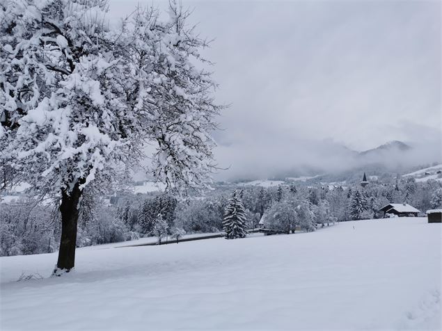 Espace ludique : Balade boule de neige 