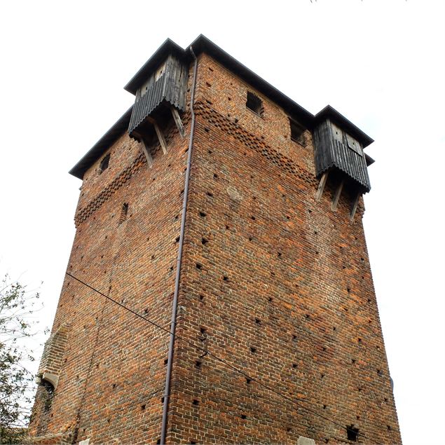 Château médiéval d'Ambérieux en Dombes_Ambérieux-en-Dombes - Pascal Brunon
