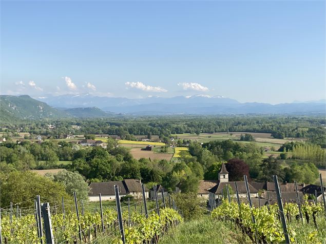 Circuit de randonnée pédestre : Le tour de Groslée_Groslée-Saint-Benoit - M.Ballet - OT Bugey Sud Gr