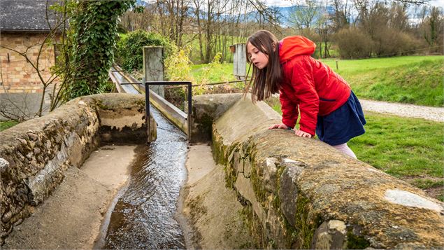 Etangs de Crosagny_Saint-Jorioz - Monica Dalmasso