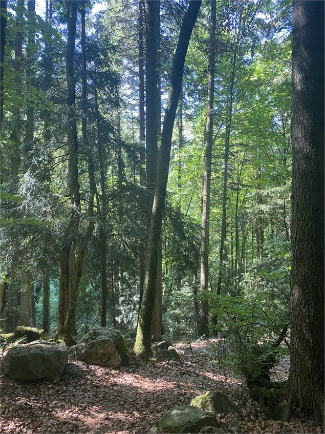Sur le chemin - OTPEVA