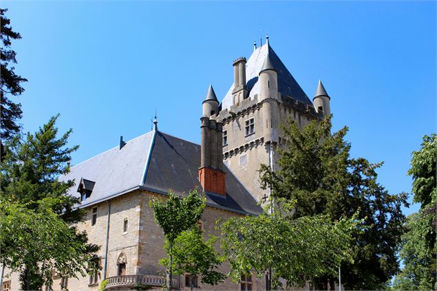 Vue aérienne Château de Chazey - Marilou Perino