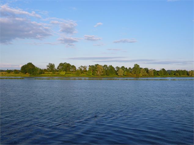 La Saône - C. Béraud