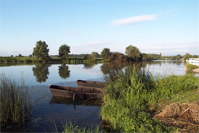 Bords de Seille à Sermoyer