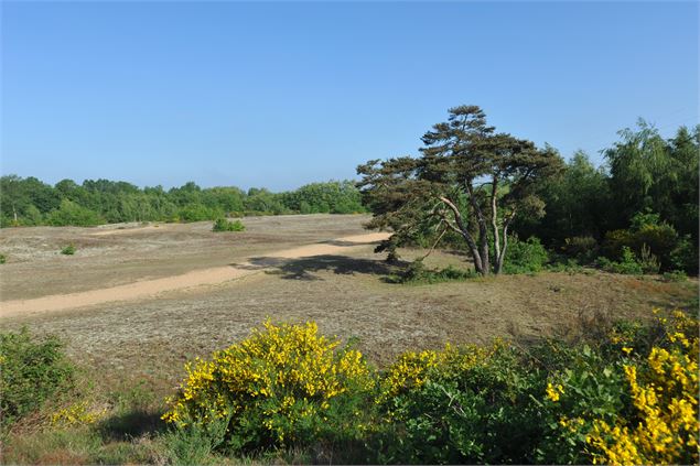 Site des Charmes Sermoyer - André Descottes