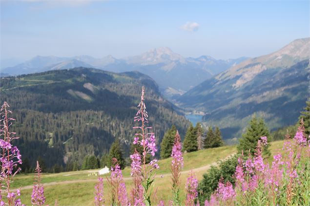 Lac de Montriond et Roc d'Enfer - Lucie Tanguy / Vallée d'Aulps Tourisme