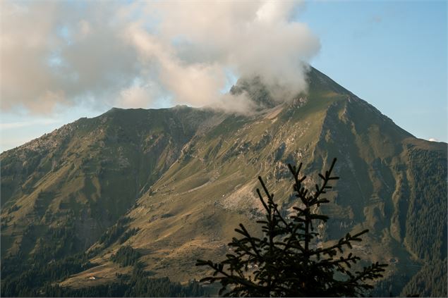 Randonnée pédestre : le Col de Bassachaux par la Tête de Lindaret_Montriond - Lucie Tanguy / Vallée