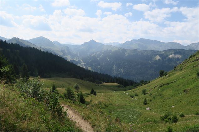 Randonnée pédestre : le Col de Bassachaux par la Tête de Lindaret_Montriond - Lucie Tanguy / Vallée