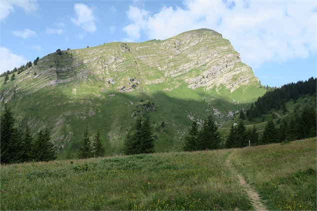 Pointe de la Chavache - Lucie Tanguy / Vallée d'Aulps Tourisme
