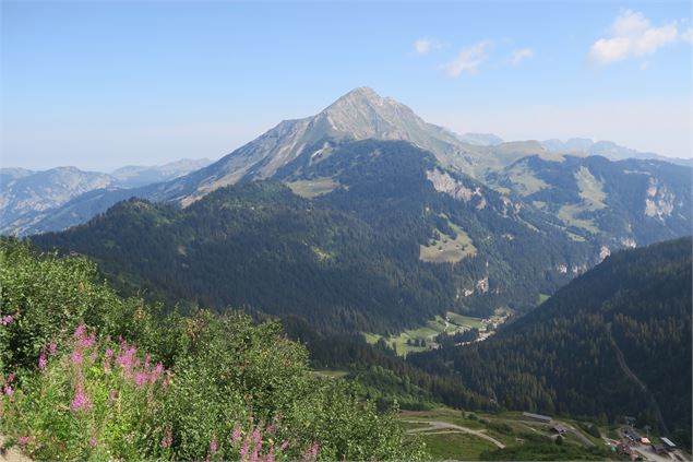Mont de Grange - Lucie Tanguy / Vallée d'Aulps Tourisme