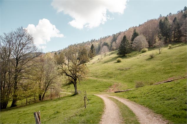 Le Salève_Archamps - Brice SOuvansanouk
