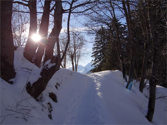 Sentier des Paquiers