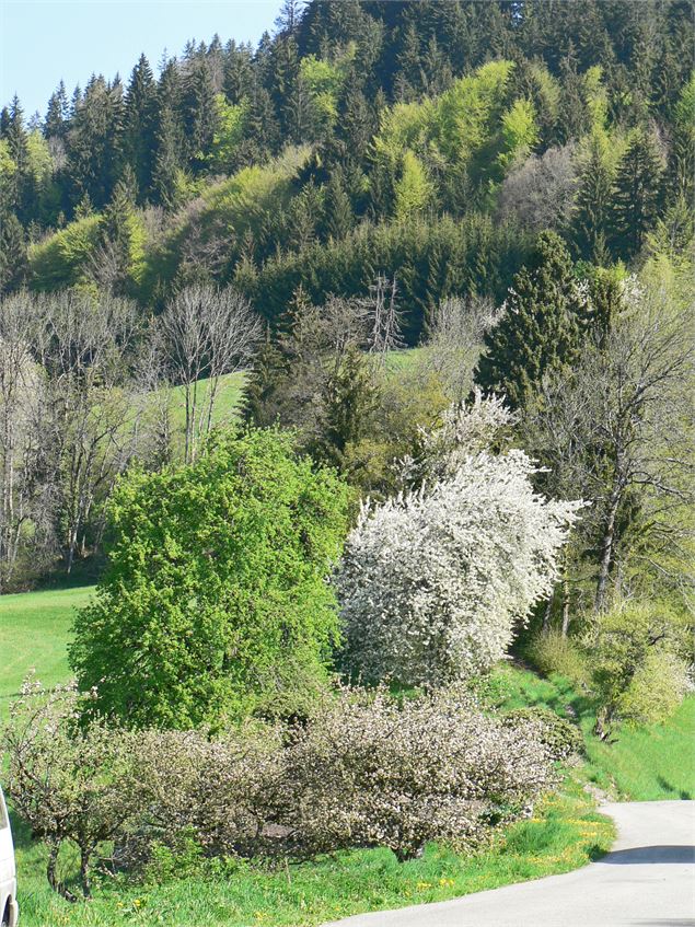 Chapelle de Mathonex - SIMOND