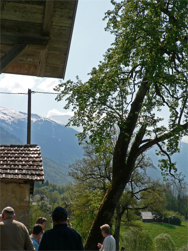 Chapelle de Vigny - OT Samoëns (photothèque)