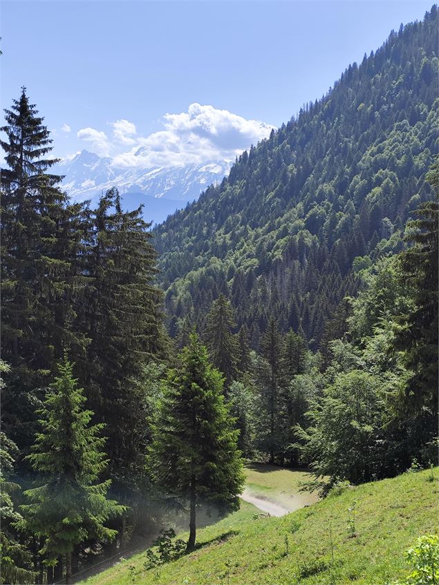 Vue montée Pierre Fendue - Cordon Tourisme