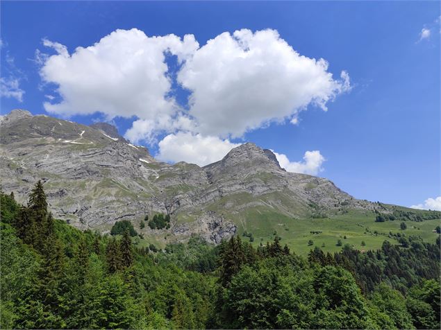 Vue quatre têtes - Cordon Tourisme