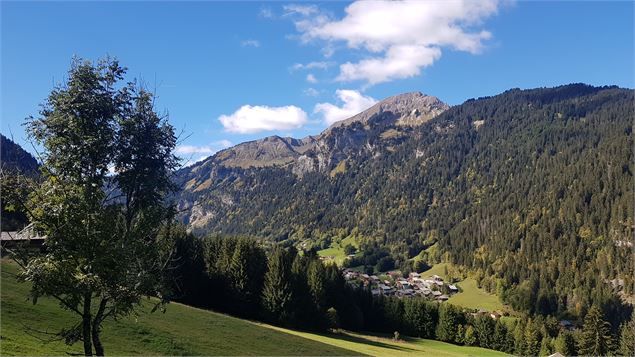 Paysage Châtel - Vieille Douane