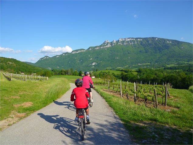 Circuit du Vignoble - © Explore Savoie - Lansard