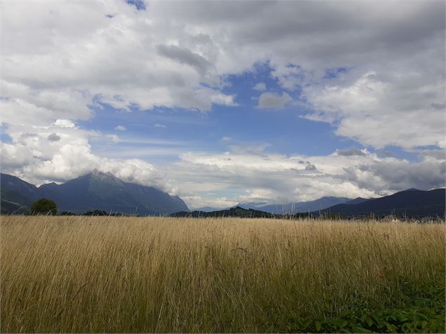 Boucle cyclo : Circuit de la Cochette - © Explore Savoie - Anglade