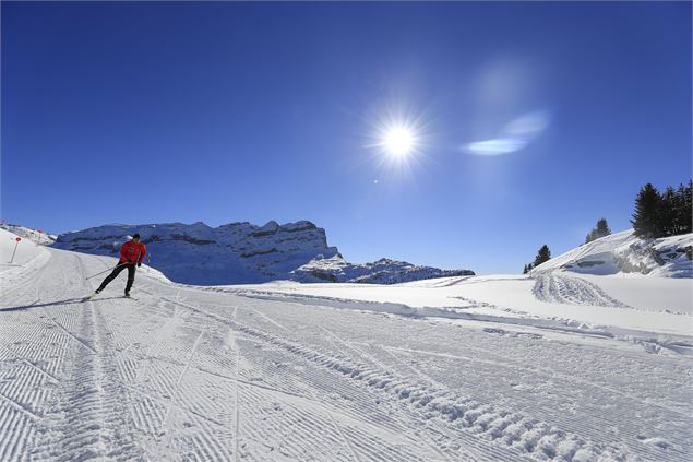 Skieur de fond - OT FLAINE-M.DALMASSO