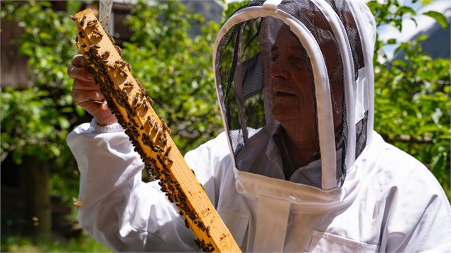 Centre de Compétences en Apiculture_Val de Bagnes - Centre de Compétences en Apiculture
