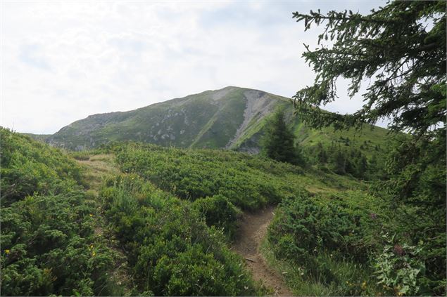 Pointe de Chésery - Victor Demilly / Vallée d'Aulps Tourisme