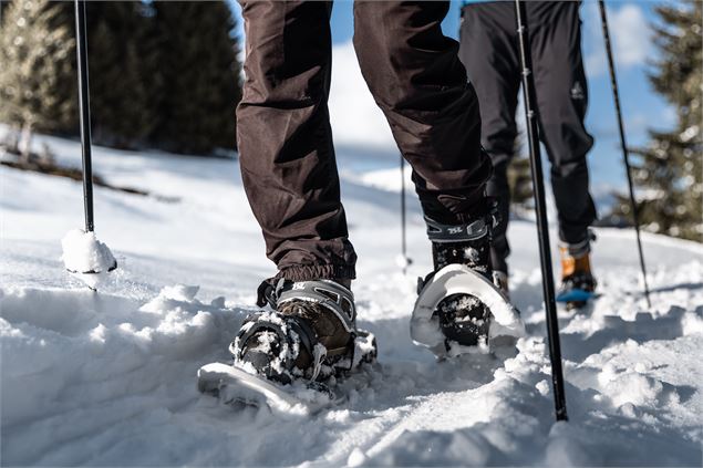 Sentiers raquettes au Grand-Bornand 32 : Sur Frêtes - Hudry - Aravis
