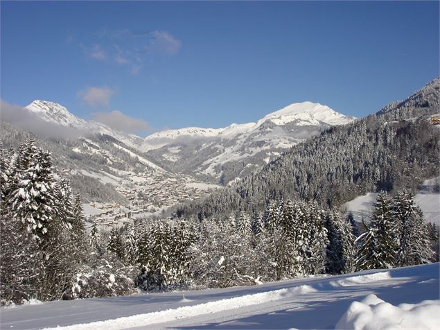 vue sur le mont lachat - C. Cattin Alpcat Medias