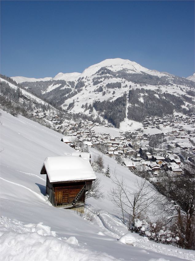 mont Lachat depuis les hauteurs du Village - C. Cattin Alpcat Medias