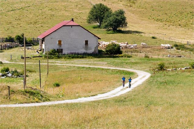 Parcours VTT 14 rouge - Retord - les balcons du Mont Blanc - Espace FFC Ain Forestière_Haut Valromey