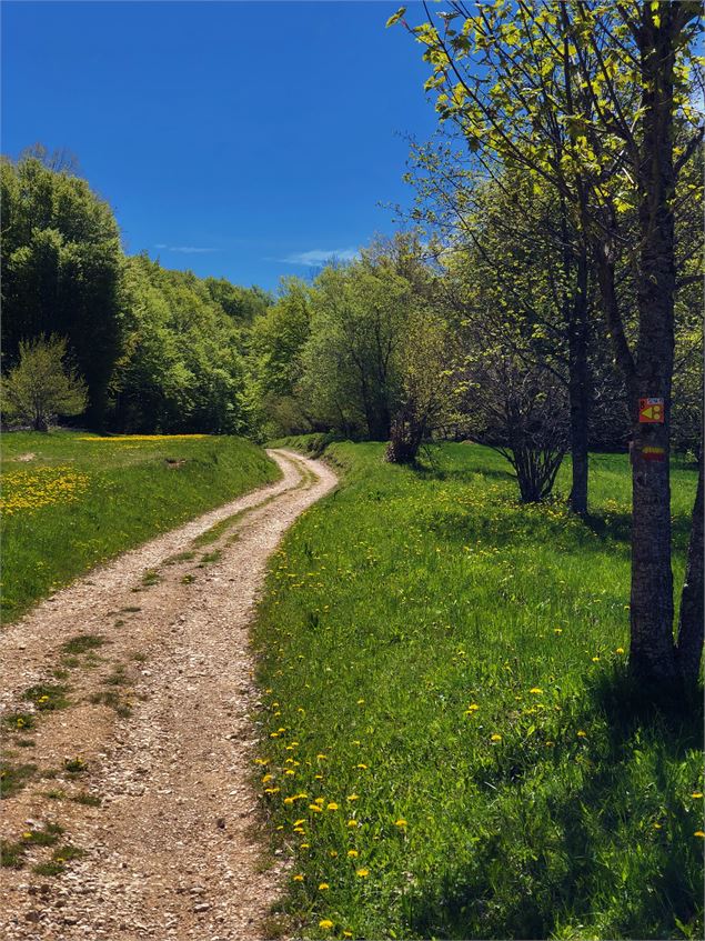 Chemin en direction de la Cotière - Laurent Madelon - CCBS