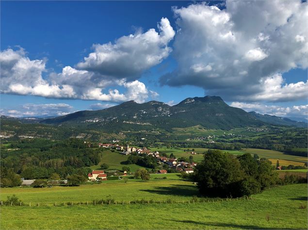 Vue sur la Charvaz et Massignieu-de-Rives - © M.Ballet