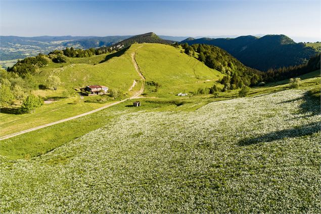 Circuit vélo : Le Grand Colombier et le col de la Biche depuis les Plans d'Hotonnes_Haut Valromey -